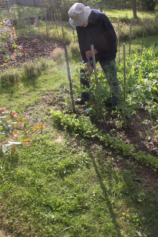 Tronget2008_Croquet/img_6714.jpg