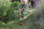 Tronget2008_Croquet/img_6725.jpg